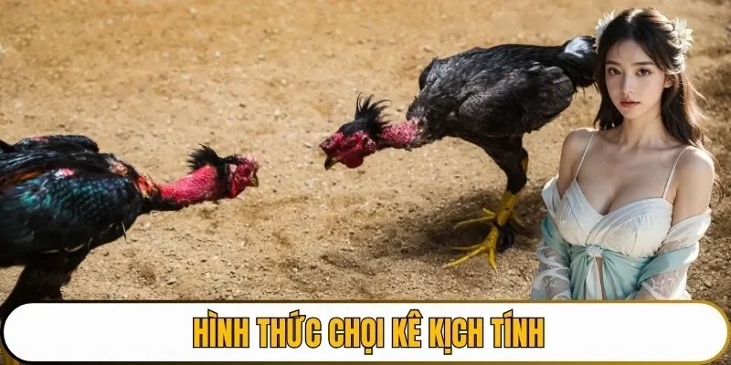 Hình thức chọi kê kịch tính