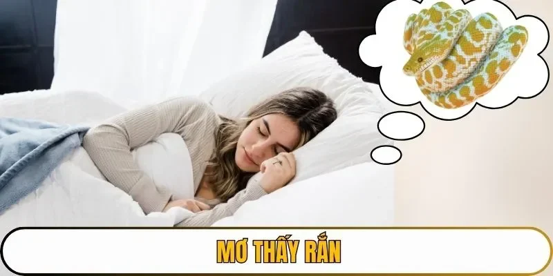 mơ thấy rắn